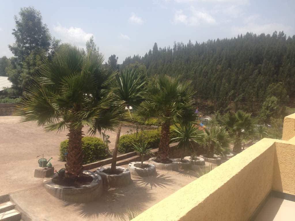 Joamla Hotel Desē Extérieur photo